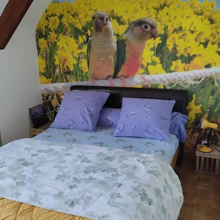 D'hotes Du Clos Du Roi Bed & Breakfast Pontorson