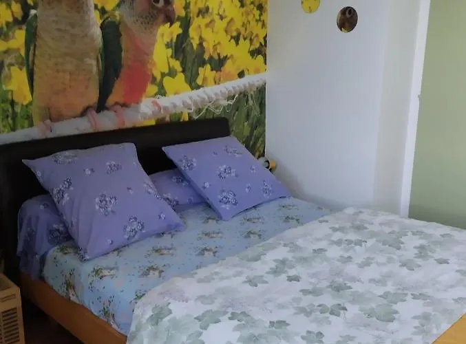 Bed & Breakfast D'hotes Du Clos Du Roi Pontorson